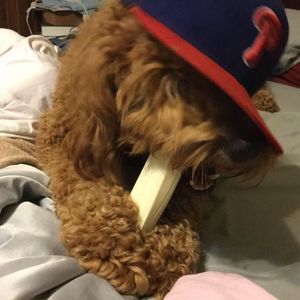 Meet your Posher, Jerri